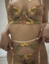 Фотография №3652276