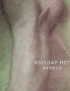 Фотография №3703713