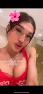 Транс Алматы Транс№134330 Доминика Фотография №3704764